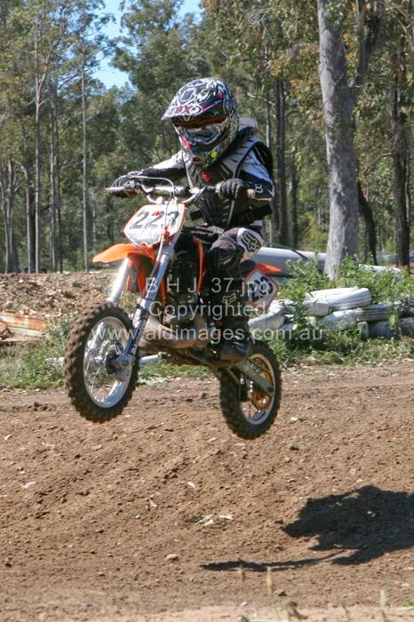 444x677 pixels (93K)